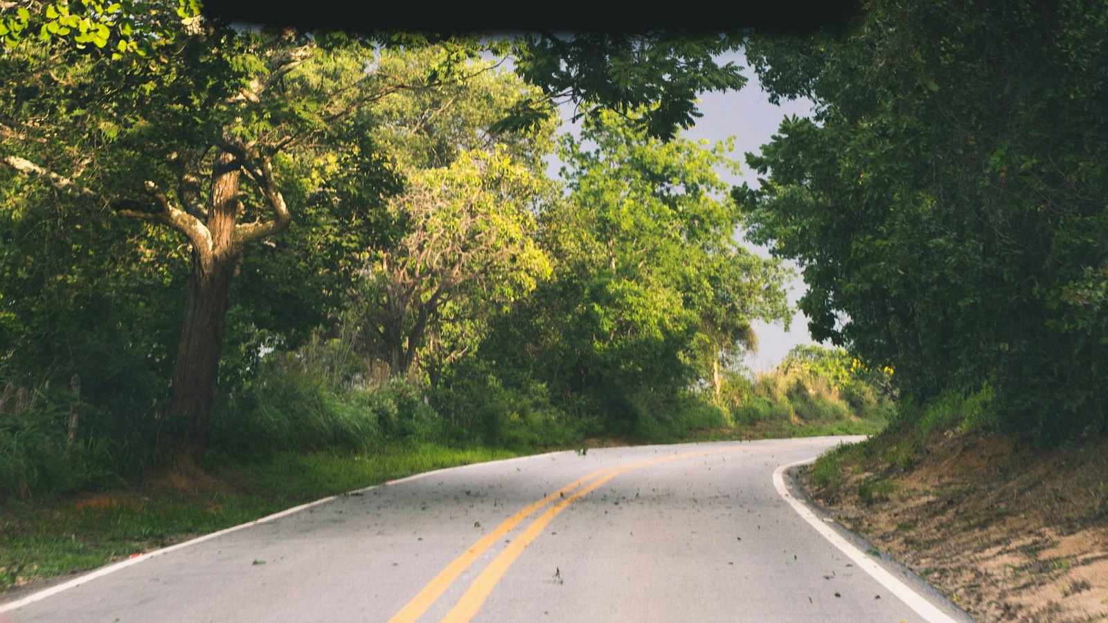 A road seen through a car windscreen
